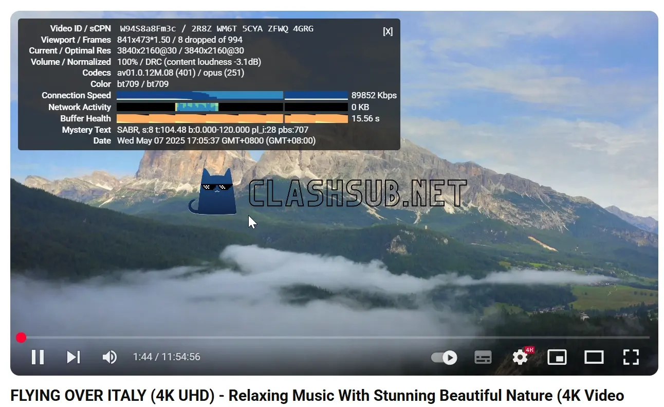 COCODUCK 小黄鸭机场 YouTube 4K 播放测试 COCODUCK 小黄鸭机场 YouTube 4K 播放测试