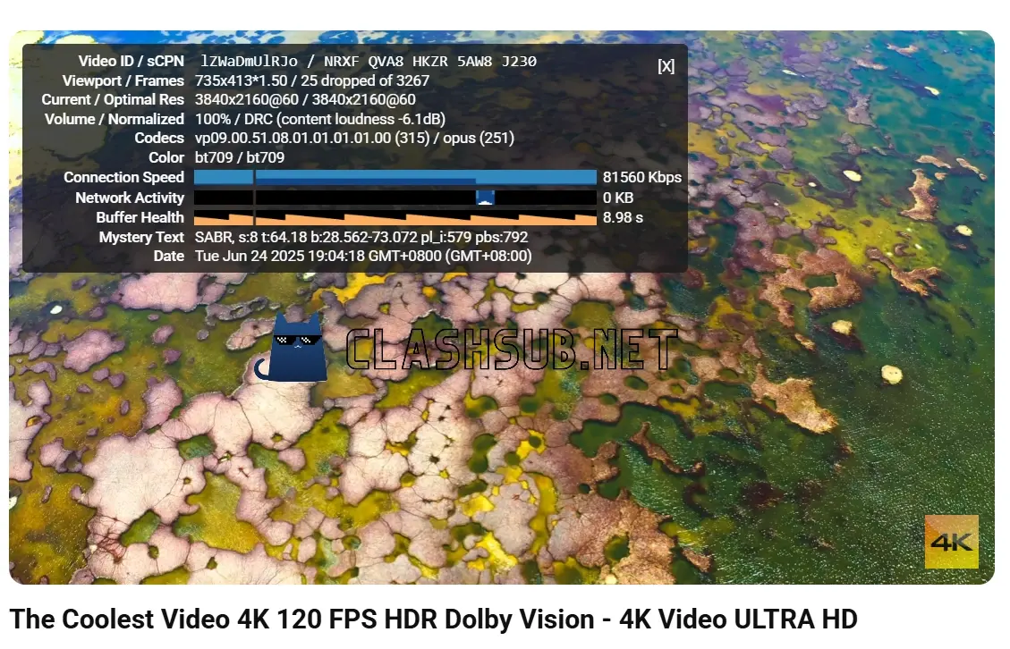 小蜜蜂机场 YouTube 4K 播放测试 小蜜蜂机场 YouTube 4K 播放测试