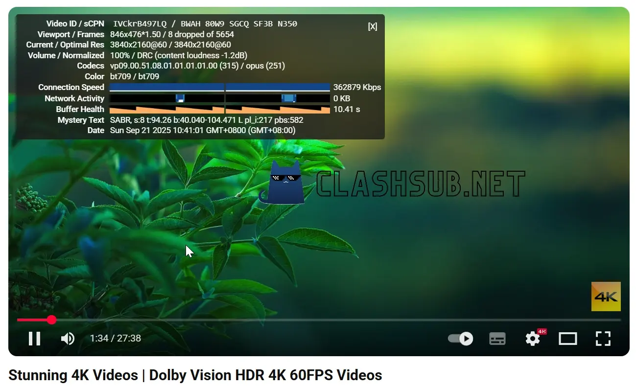 花云机场 YouTube 4K 播放测试 花云机场 YouTube 4K 播放测试